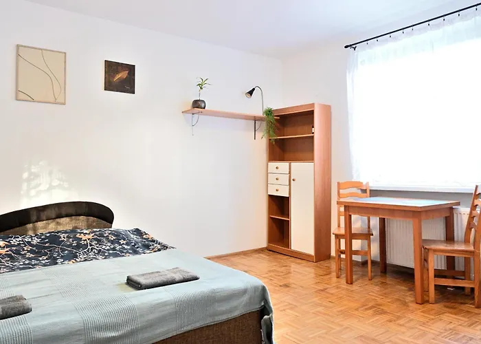 D&a Wiktorska, Metro Raclawicka Appartement